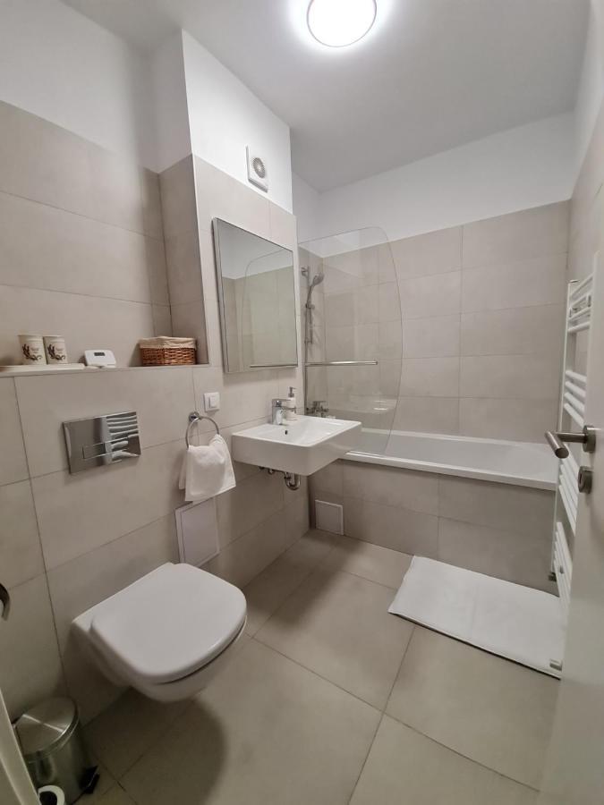 Rya's Cozy Apartment Brașov